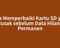 Cara Memperbaiki Kartu SD yang Rusak sebelum Data Hilang Permanen