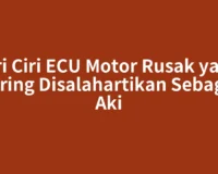 Ciri Ciri ECU Motor Rusak yang Sering Disalahartikan Sebagai Aki