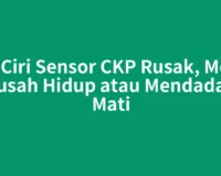 Ciri Ciri Sensor CKP Rusak, Mesin Susah Hidup atau Mendadak Mati