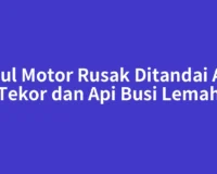 Spul Motor Rusak Ditandai Aki Tekor dan Api Busi Lemah