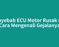 Penyebab ECU Motor Rusak dan Cara Mengenali Gejalanya