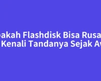 Apakah Flashdisk Bisa Rusak? Ya, Kenali Tandanya Sejak Awal