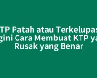 KTP Patah atau Terkelupas? Begini Cara Membuat KTP yang Rusak yang Benar