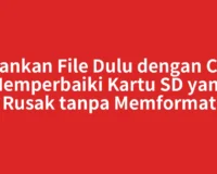 Amankan File Dulu dengan Cara Memperbaiki Kartu SD yang Rusak tanpa Memformat