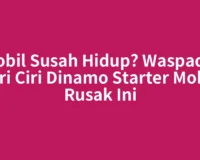 Mobil Susah Hidup? Waspadai Ciri Ciri Dinamo Starter Mobil Rusak Ini