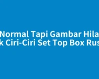 TV Normal Tapi Gambar Hilang, Cek Ciri-Ciri Set Top Box Rusak