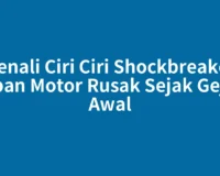 Kenali Ciri Ciri Shockbreaker Depan Motor Rusak Sejak Gejala Awal