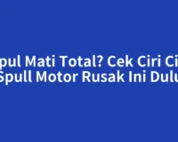 Spul Mati Total? Cek Ciri Ciri Spull Motor Rusak Ini Dulu