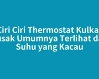 Ciri Ciri Thermostat Kulkas Rusak Umumnya Terlihat dari Suhu yang Kacau