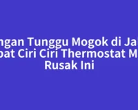 Jangan Tunggu Mogok di Jalan Akibat Ciri Ciri Thermostat Mobil Rusak Ini