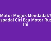 Motor Mogok Mendadak? Waspadai Ciri Ecu Motor Rusak Ini