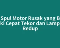 Ciri Spul Motor Rusak yang Bikin Aki Cepat Tekor dan Lampu Redup