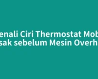 Kenali Ciri Thermostat Mobil Rusak sebelum Mesin Overheat