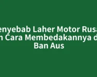 Penyebab Laher Motor Rusak dan Cara Membedakannya dari Ban Aus