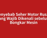 Penyebab Seher Motor Rusak yang Wajib Dikenali sebelum Bongkar Mesin